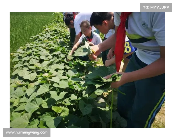 熔金锻铁,采矿之途 熔金锻铁,采矿之途